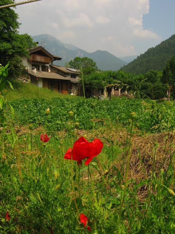 B&B Pinabel Bezzecca Dış mekan fotoğraf